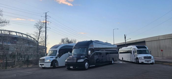 Black limo coach – Timnath limo service