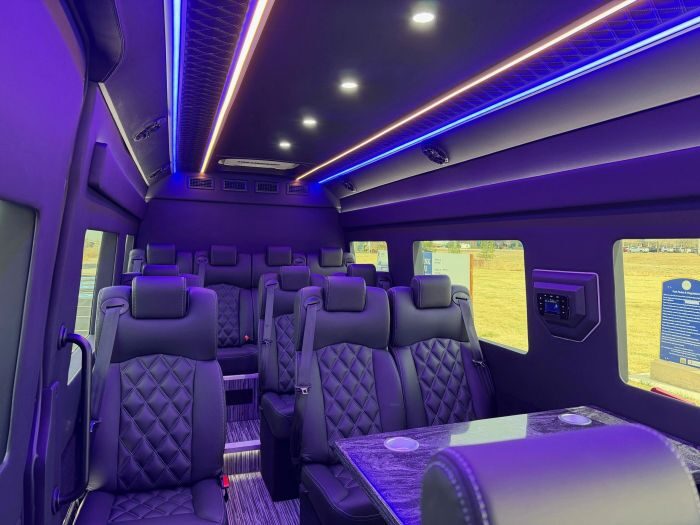 Executive Sprinter seating – Timnath limo service
