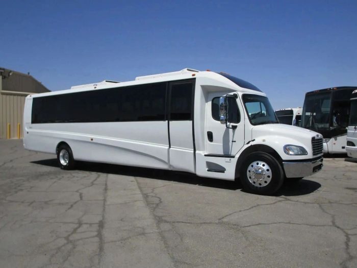 Large white party bus – Timnath limo service
