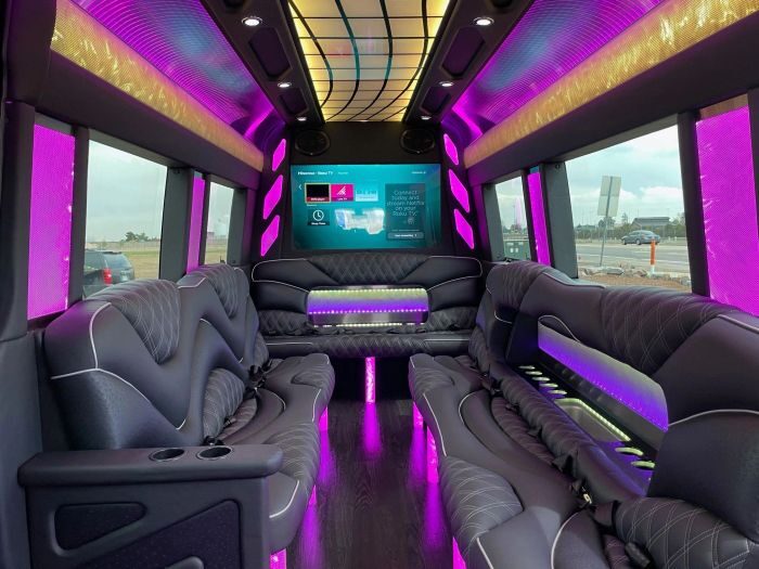 Sprinter limo lounge with TV – Timnath limo service