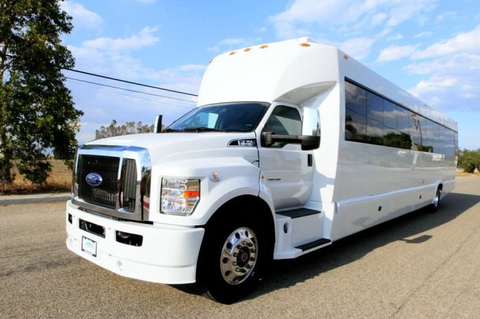 White party bus – Timnath limo service