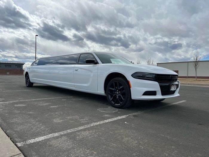 White stretch limo – Timnath limo service